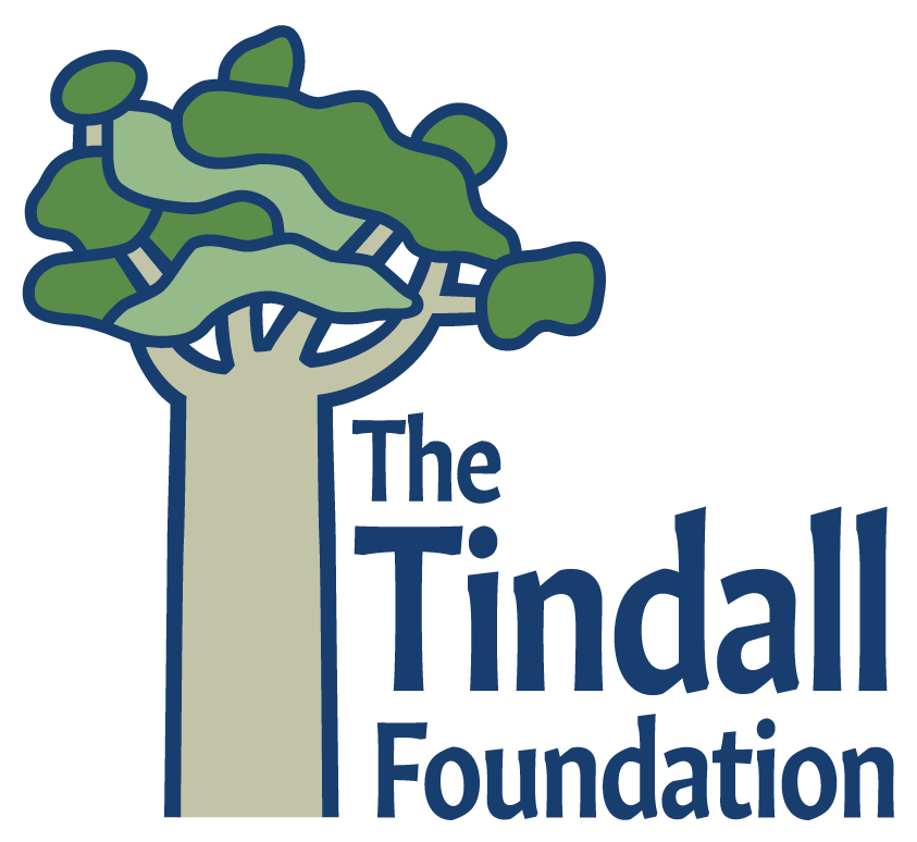 tindal logo